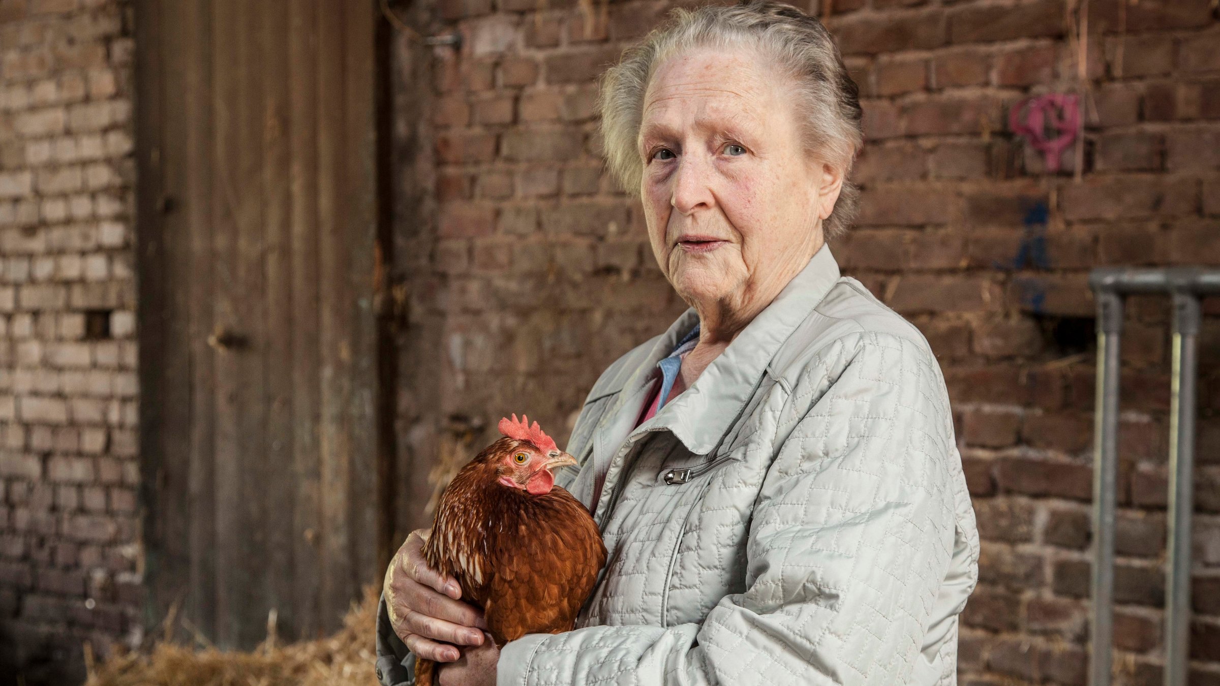 "37°: Bauernhof statt Altersheim - Eine Senioren-WG auf dem Land": Agnes ist im Hühnerstall und hält ein Huhn auf den Armen.