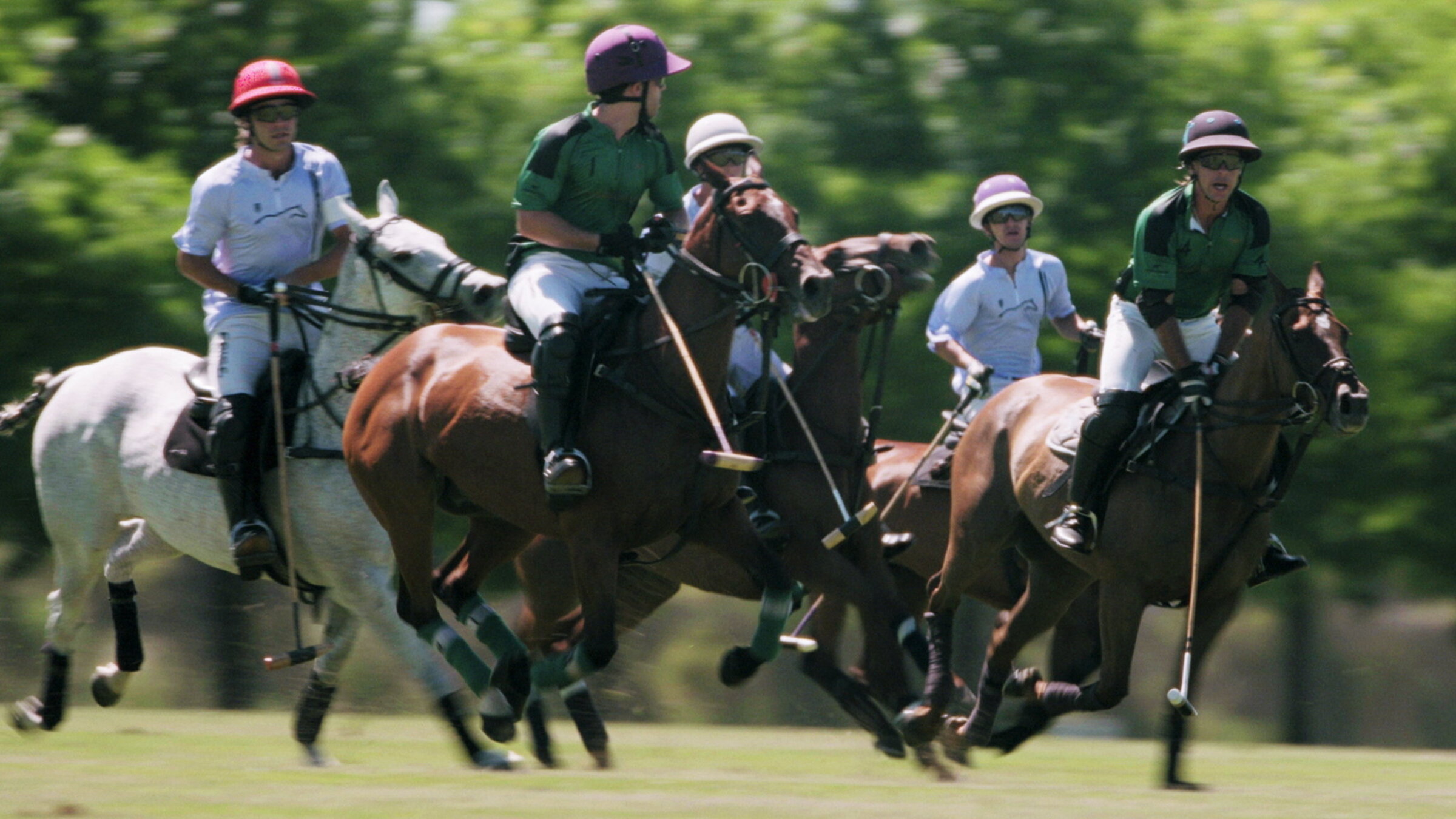 "Erbgut verändern? – Wie die Genschere Crispr Medizin und Sport revolutioniert": Polospiel in Argentinien.
