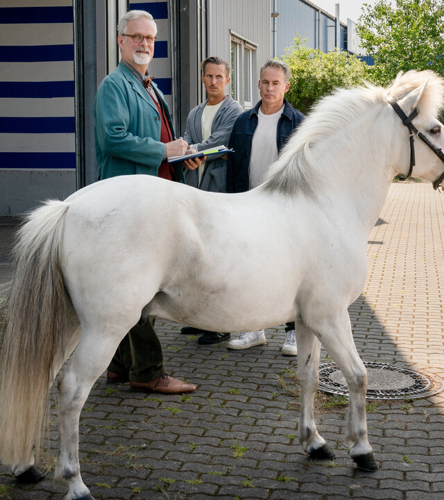 "SOKO Leipzig - Faule Eier": Ein Mitarbeiter (Komparse) hält ein weißes Pony auf einem Hof. Jobst Freitag (Dirk Audehm) steht dahinter und blickt prüfend auf das Pony. Moritz (Johannes Hendrik Langer) Jan (Marco Girnth) stehen im Hintergrund und beobachten das Geschehen.