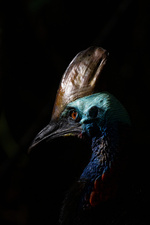 Sieben Kontinente - Ein Planet