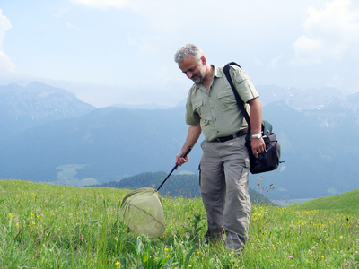 Karnische Alpen - Ein Gebirge voller Kostbarkeiten