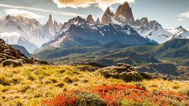 Der Patagonia Park: Eine Reise in die chilenische Wildnis