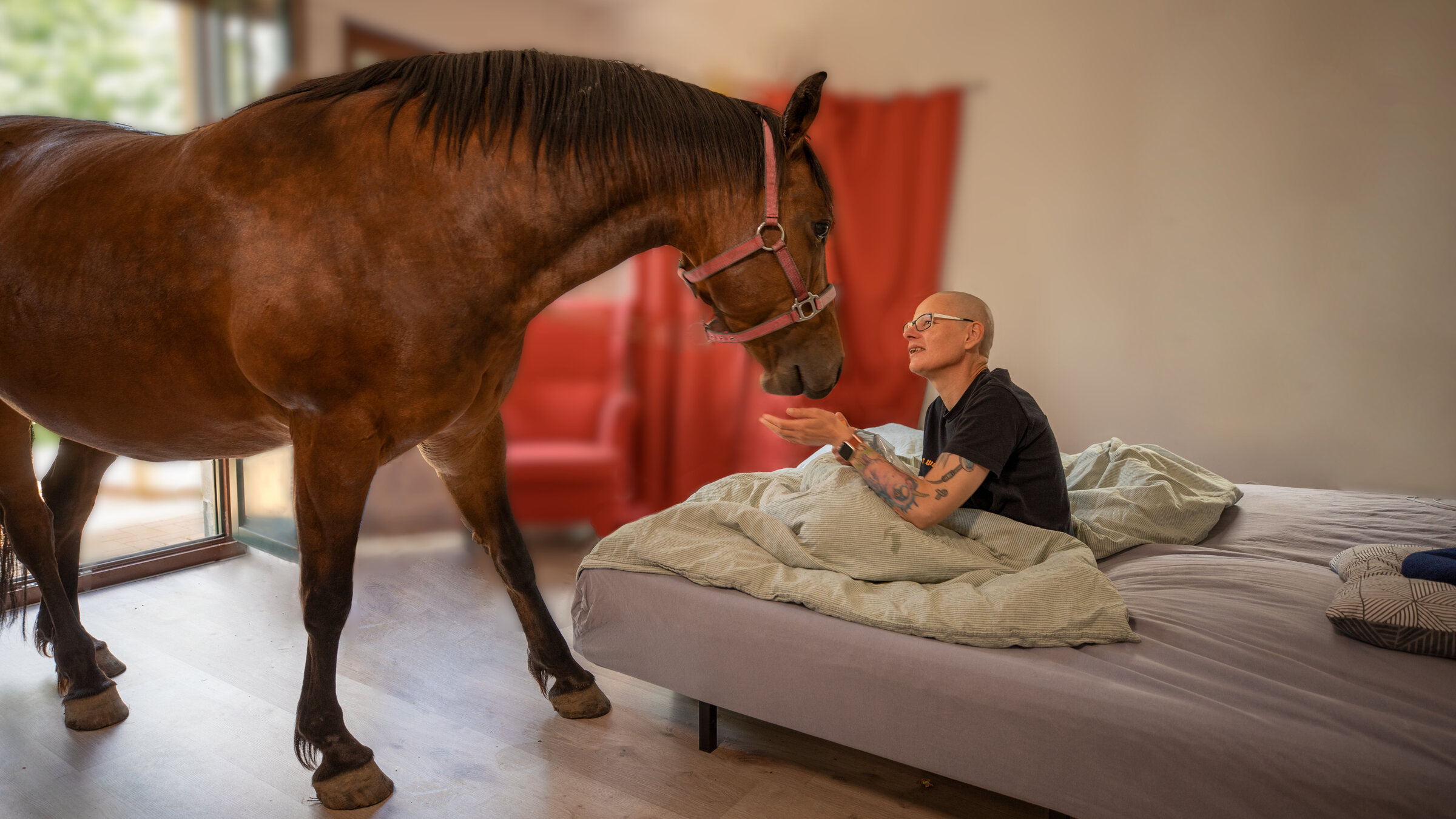 "37°: Ein Hof zum Leben und Sterben - Zuflucht für Schwerkranke und Trauernde": Ein Pferd kommt durch die Tür ins Zimmer von Anja, die im Bett sitzt.
