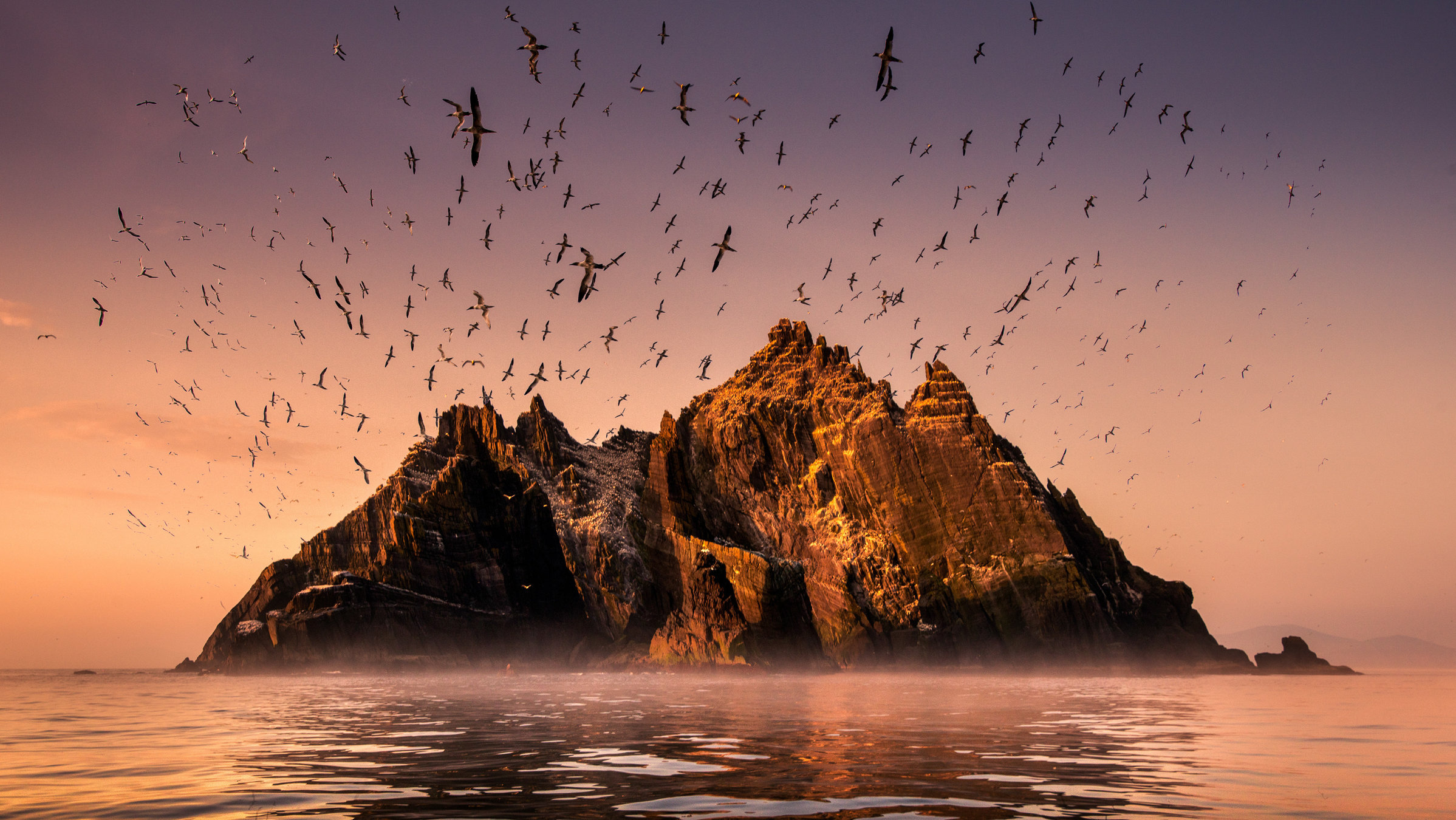 "Wildes Irland": Die Insel "Little Skellig", Co. Kerry, Irland
