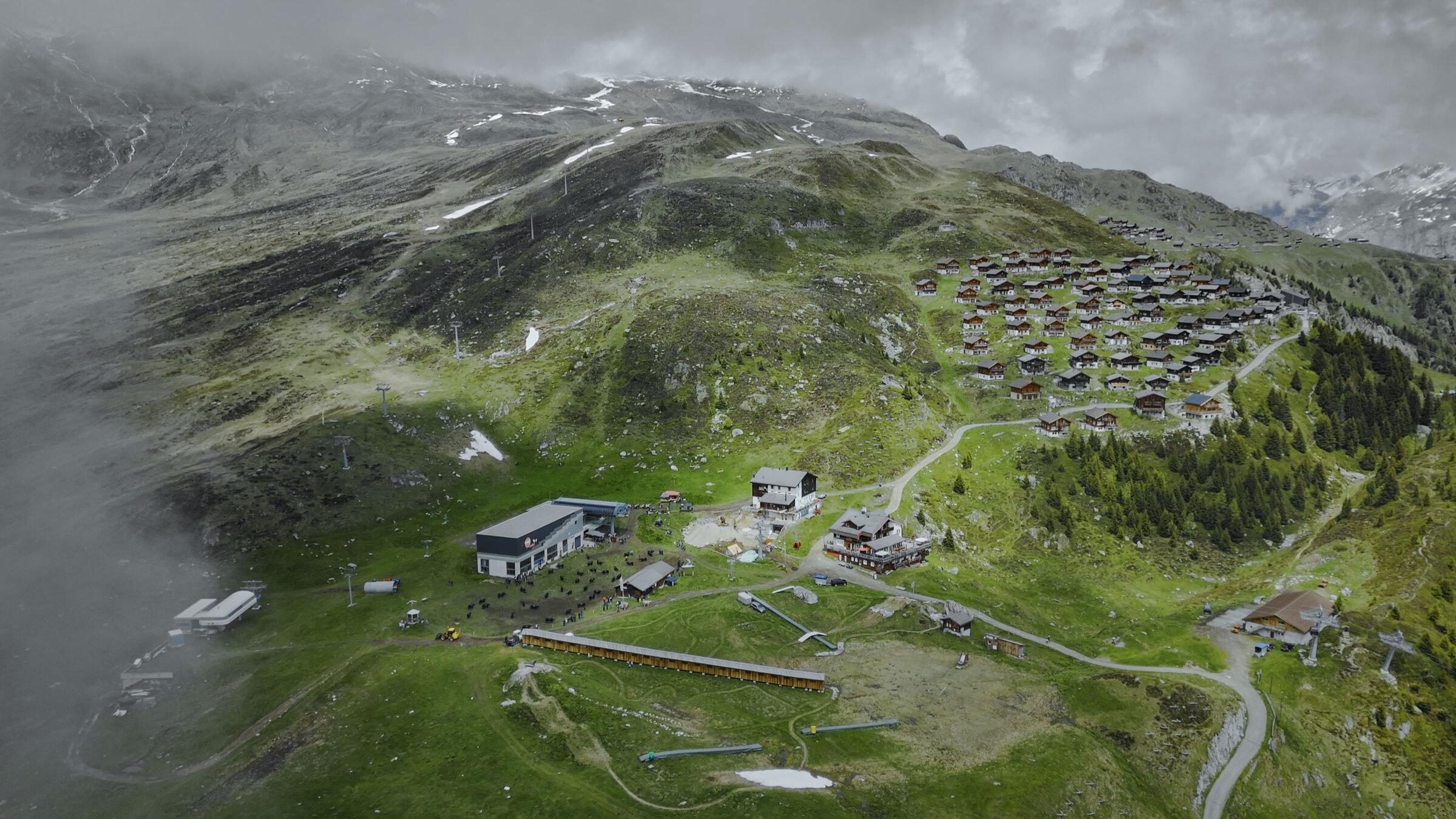 "Naturwunder Schweiz (1/4) - Kostbares Land": Auf der Belalp bei Blatten im Wallis kämpfen jedes Jahr im Juni Eringer Kühe um die Rangordnung.