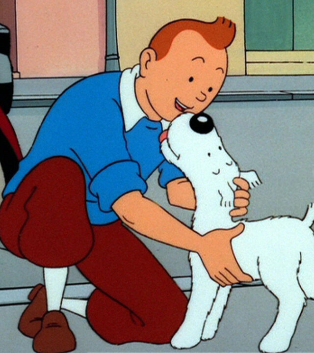 "Tim und Struppi - Die Krabbe mit den goldenen Scheren (1)": Mit Freude streichelt Tim seinen Hund Struppi am Straßenrand.