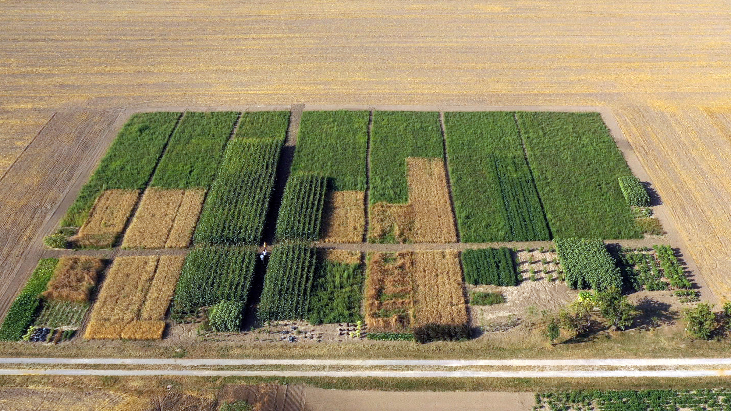 "Die Ernährungsfalle": Einen Acker, fast so groß wie ein Fußballfeld, besetzt derzeit jeder von uns, etwa zwei Drittel davon liegen im Ausland.