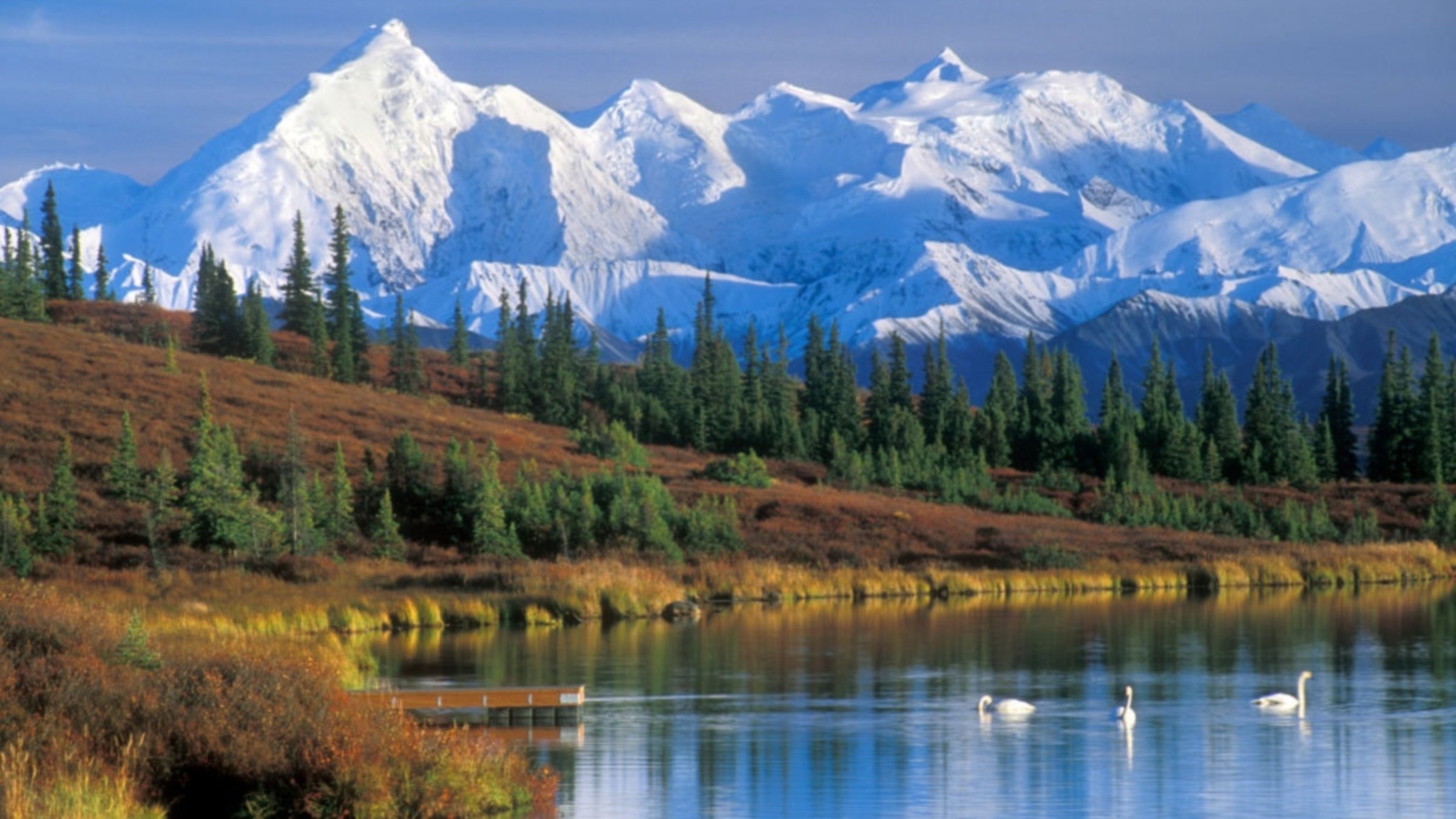 "Faszinierende Erde, Staffel 2 (1/6) - Berge": Landschaftsbild mit schneebedeckten Bergen im Hintergrund, davor ein Wald und ein See mit schwimmenden Schwänen.