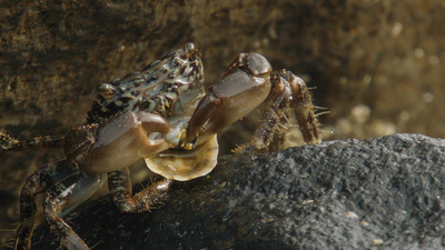 Strände Europas: Santorin