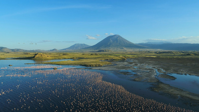 Afrikas Ikonen der Tierwelt: Allesfresser