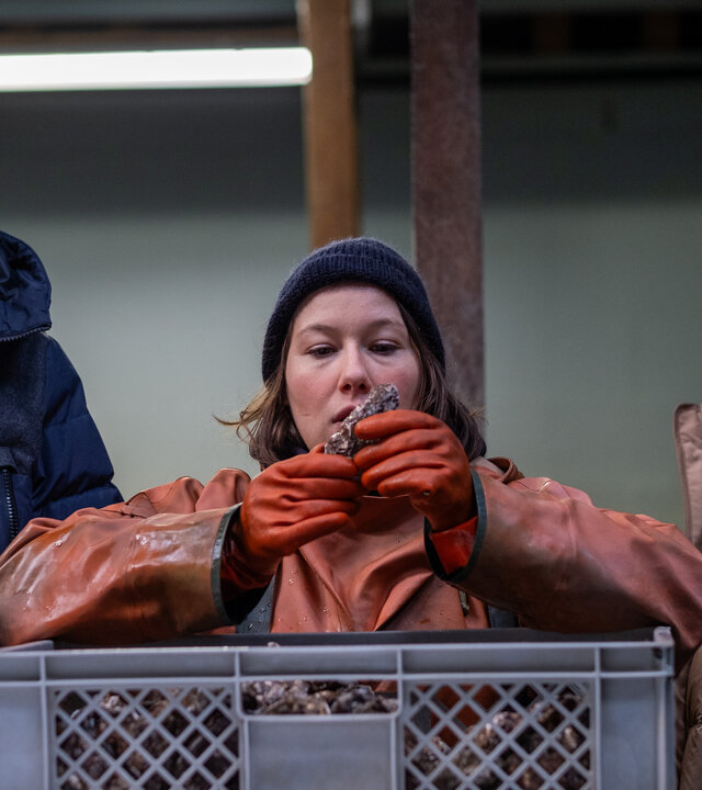 "Nord Nord Mord - Sievers und die stillen Austern": Carl Sievers (Peter Heinrich Brix) und Hinnerk Feldmann (Oliver Wnuk) haben Tomke Bundis (Josefine Isreal) in ihrer Mitte, die gerade mit dicken roten Handschuhen Austern aus einer grauen Lieferkiste fischt und prüft.