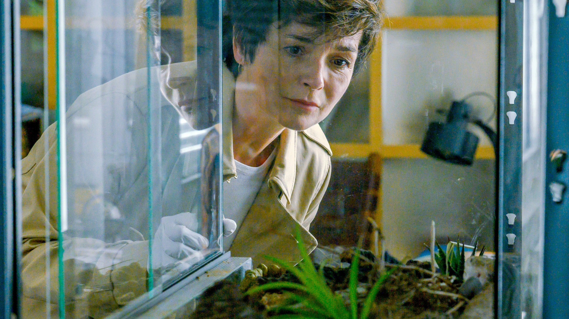 "SOKO Linz- Der Skorpion": Ermittlerin Johanna "Joe" Haizinger (Katharina Stemberger) starrt besorgt in ein leeres Terrarium. Sie trägt Einmalhandschuhe und scheint vorsichtig die Glasscheibe des Terrariums aufzuschieben.
