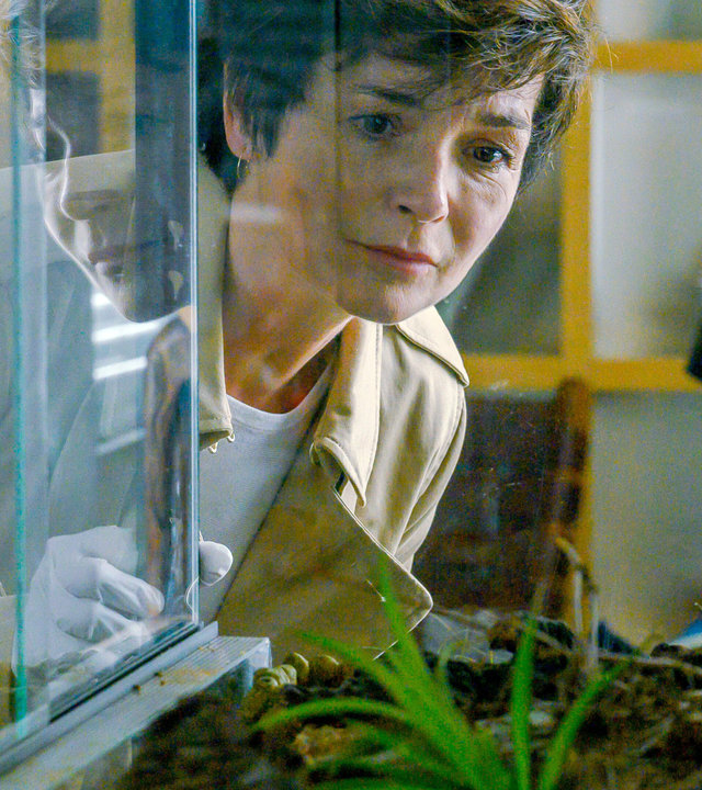"SOKO Linz- Der Skorpion": Ermittlerin Johanna "Joe" Haizinger (Katharina Stemberger) starrt besorgt in ein leeres Terrarium. Sie trägt Einmalhandschuhe und scheint vorsichtig die Glasscheibe des Terrariums aufzuschieben.