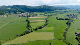 Zwischen Fels und Fluss - Das Sulmtal