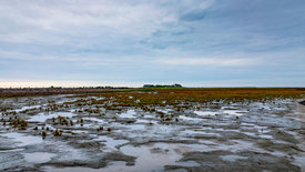 Die Nordreportage: Hallig vor dem Aus?