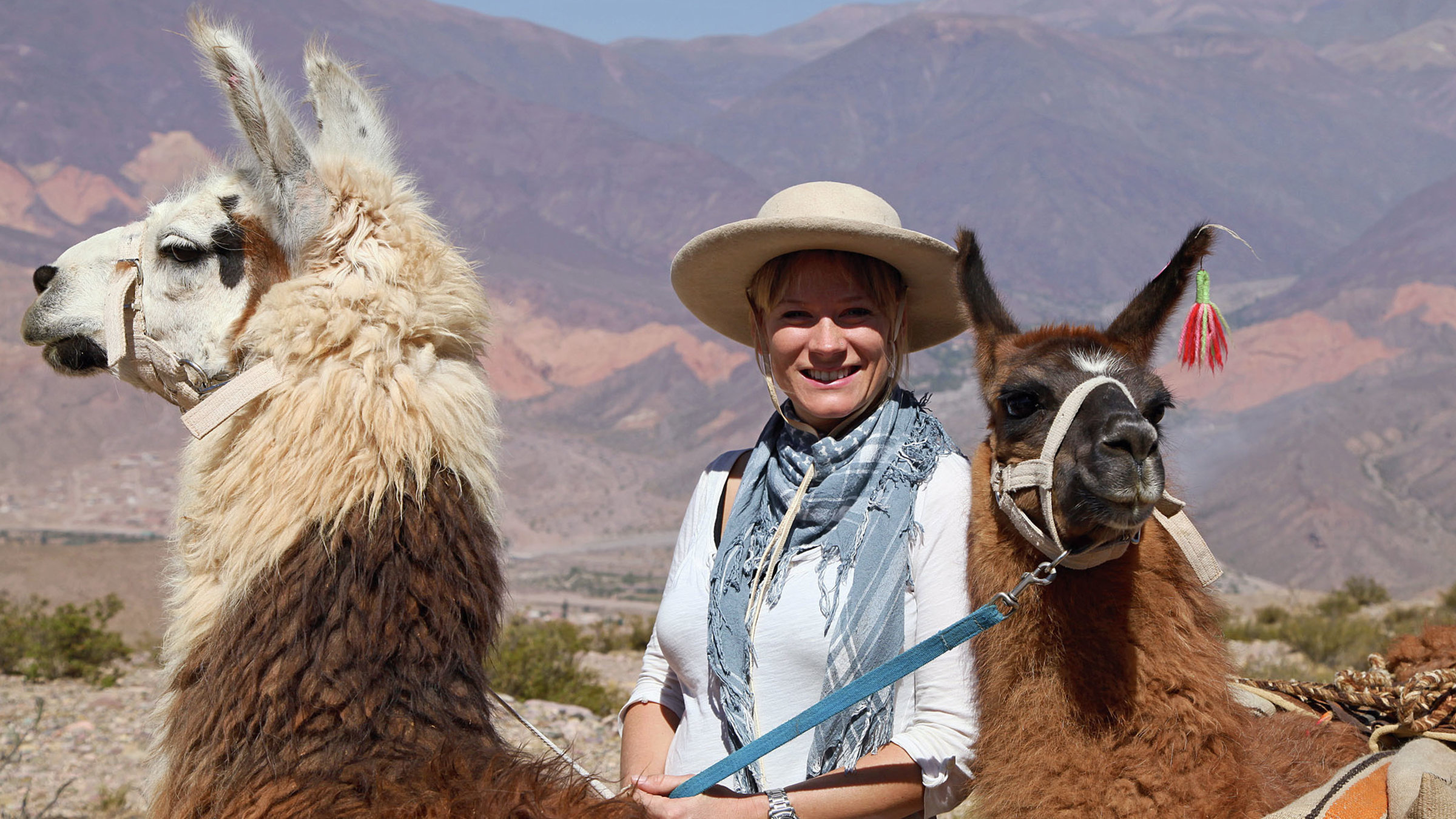 "unterwegs: Argentinien, der Norden - Berge, Wein und Wasserfälle": Moderatorin Andrea Jansen bei den Lamas.
