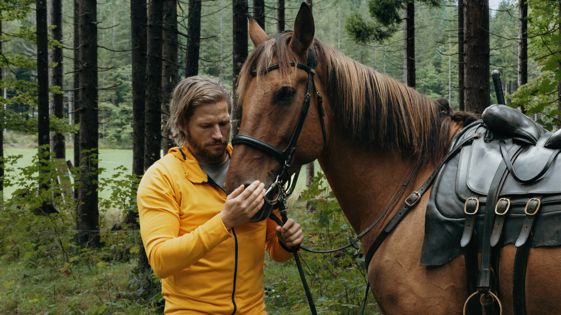 "Die Bergretter: Gespenster": Im Wald: Bergretter Markus Kofler (Sebastian Ströbel) steht am Kopf eines braunen Pferds, das gesattelt ist. Mit einer Hand hält er das Zaumzeug fest, die andere Hand hat er auf das Maul gelegt. Er wirkt beruhigend auf das Tier ein.
