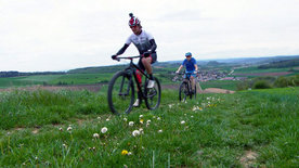 Lavaglut am Bodensee