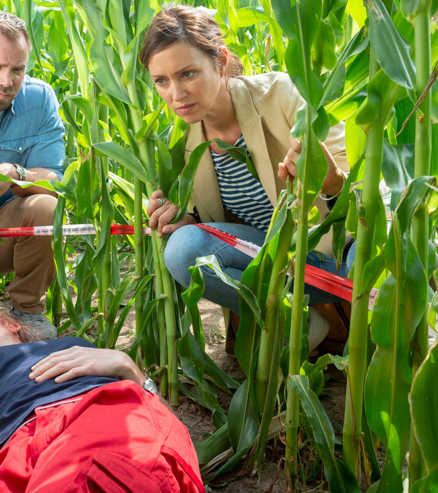 "SOKO Wismar – Tod einer Notärztin": Mitten in einem Maisfeld liegt die Leiche von Alina Stocker (Stephanie Krogmann), in Notarzt-Kleidung und mit dem Rücken auf dem Boden. Sie ist von Flatterband umgeben. Außerhalb davon knien Lars Pöhlmann (Dominic Boeer) und Karoline Joost (Nike Fuhrmann), sich die Leiche ansehend. Überall ragen Maispflanzen aus dem Boden.