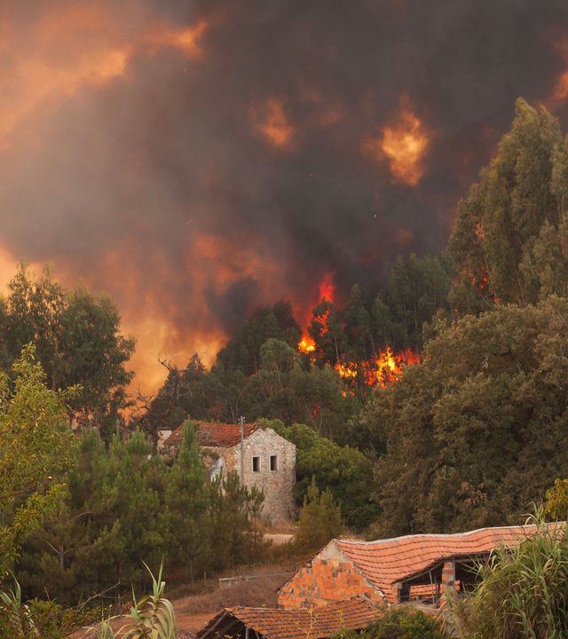"planet e.: Wenn die Wälder brennen": Waldbrand in Portugal.