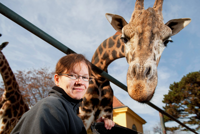 Schönbrunner Tiergeschichten - Leben im Zoo