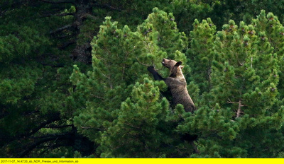 Die Hohe Tatra (1/2)