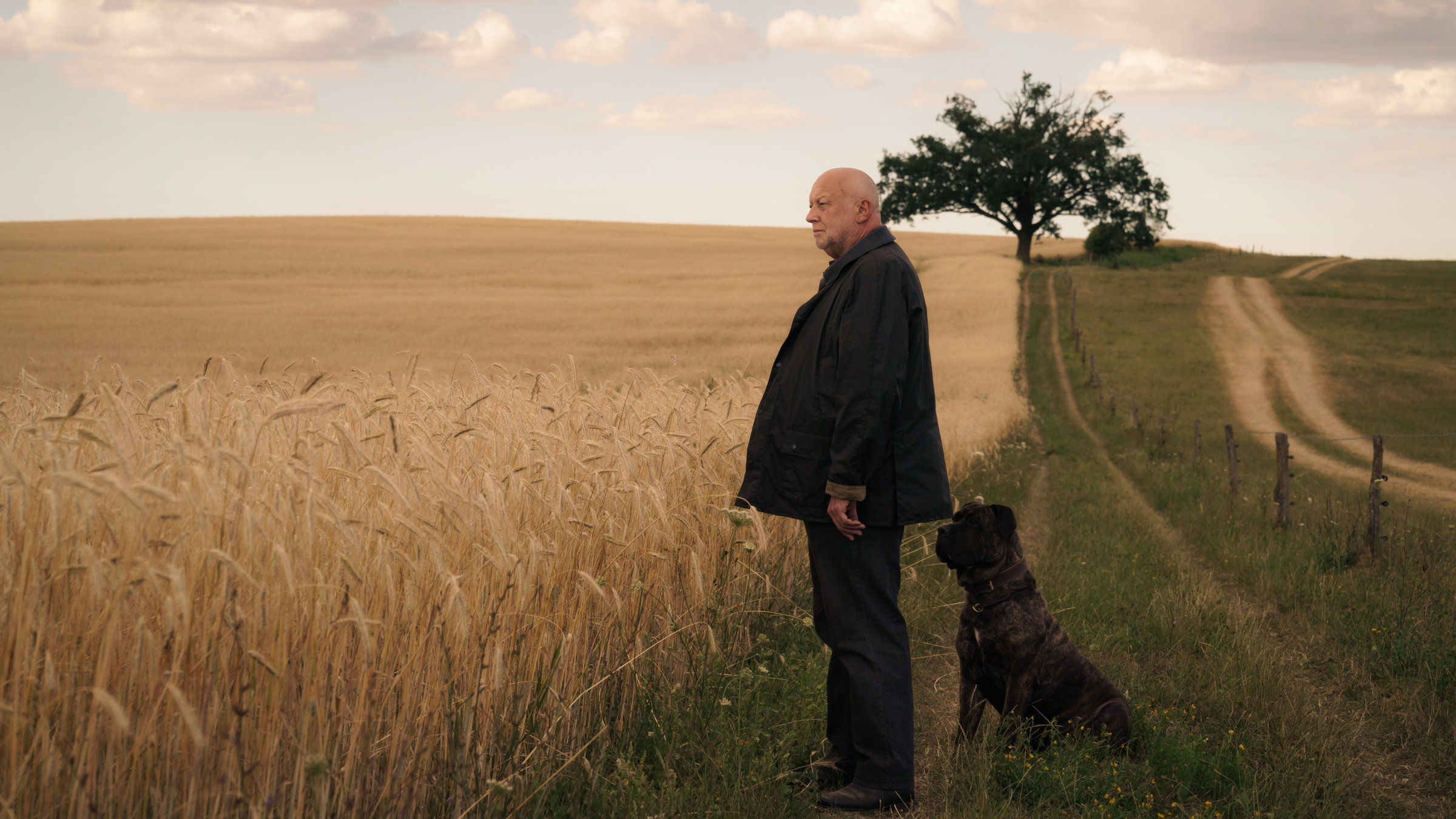 "Unterleuten - Das zerrissene Dorf (3)": Rudolf Gombrowski steht mit seinem Hund vor den Feldern.