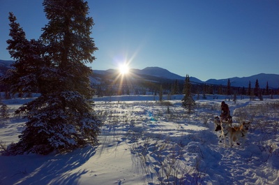 Im Zauber der Wildnis - Alaskas Majestät:<br/>Der Denali-Nationalpark