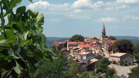 Istriens Süden - Urlaubsparadies an der kroatischen Adria