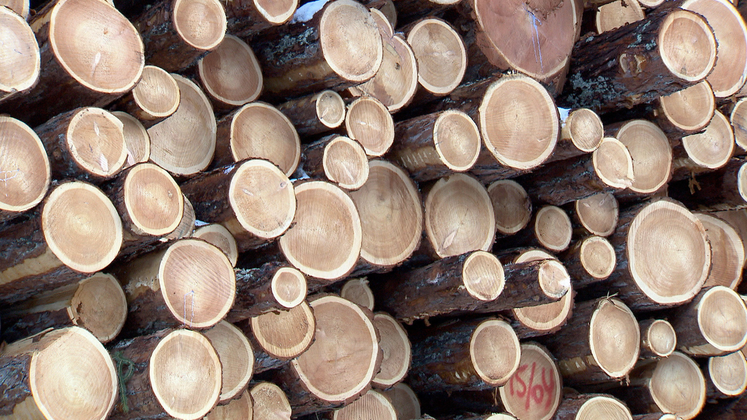 "Wie man in den Wald ruft..." - Holzstapel