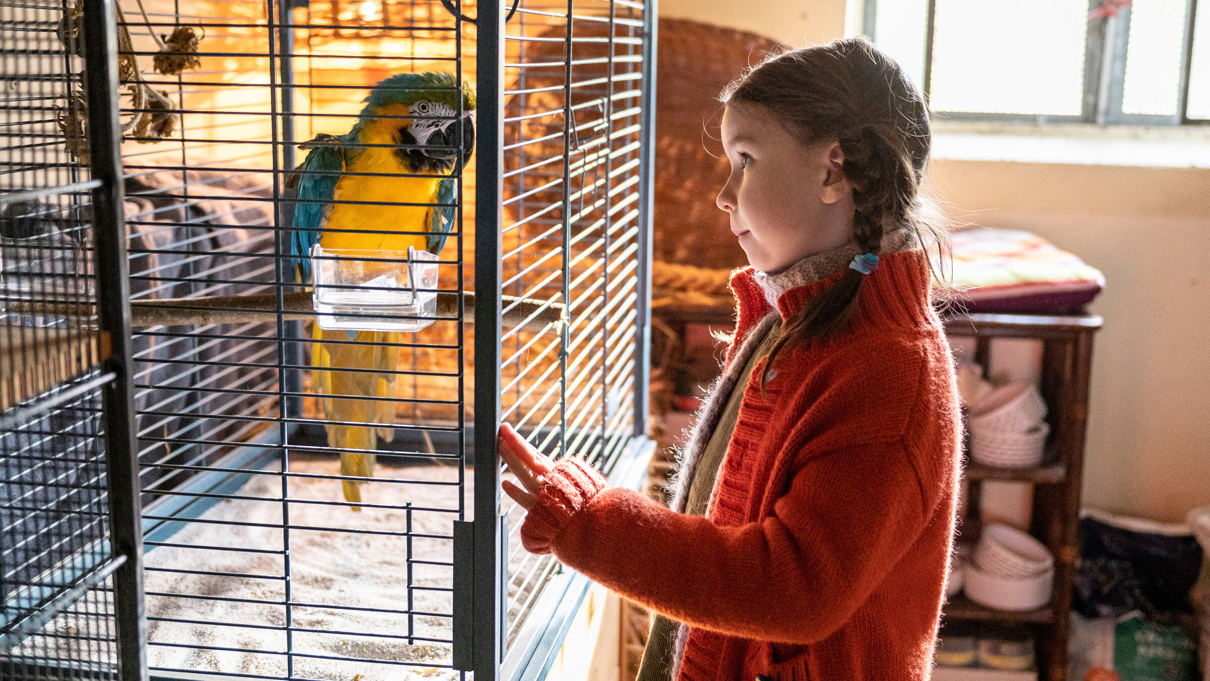 "Kommt ein Vogel geflogen": Papagei Marlene hilft Sarah (Pola Friedrichs) ihr Stottern zu überwinden, stellt aber die Familie dafür vor neue Probleme.