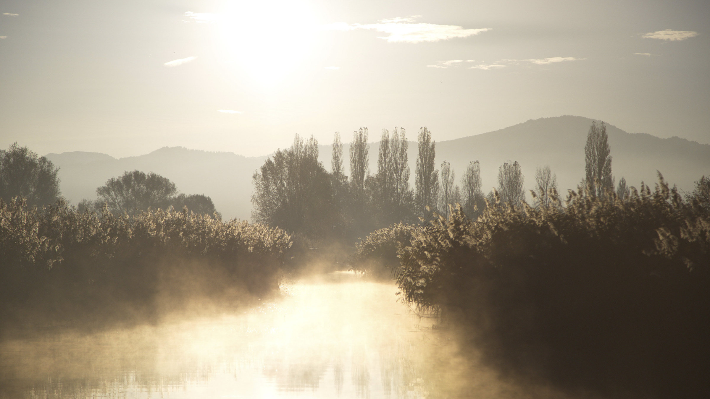 "Bodensee, Wildnis am großen Wasser" - Langsam kündigt sich der Winter an: Herbststimmung unweit vom Schweizer Ort Sentis.