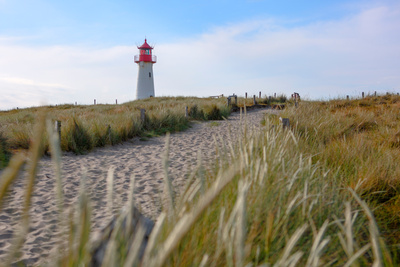 Leben an der Nordsee: Deutschlands wilde Küste