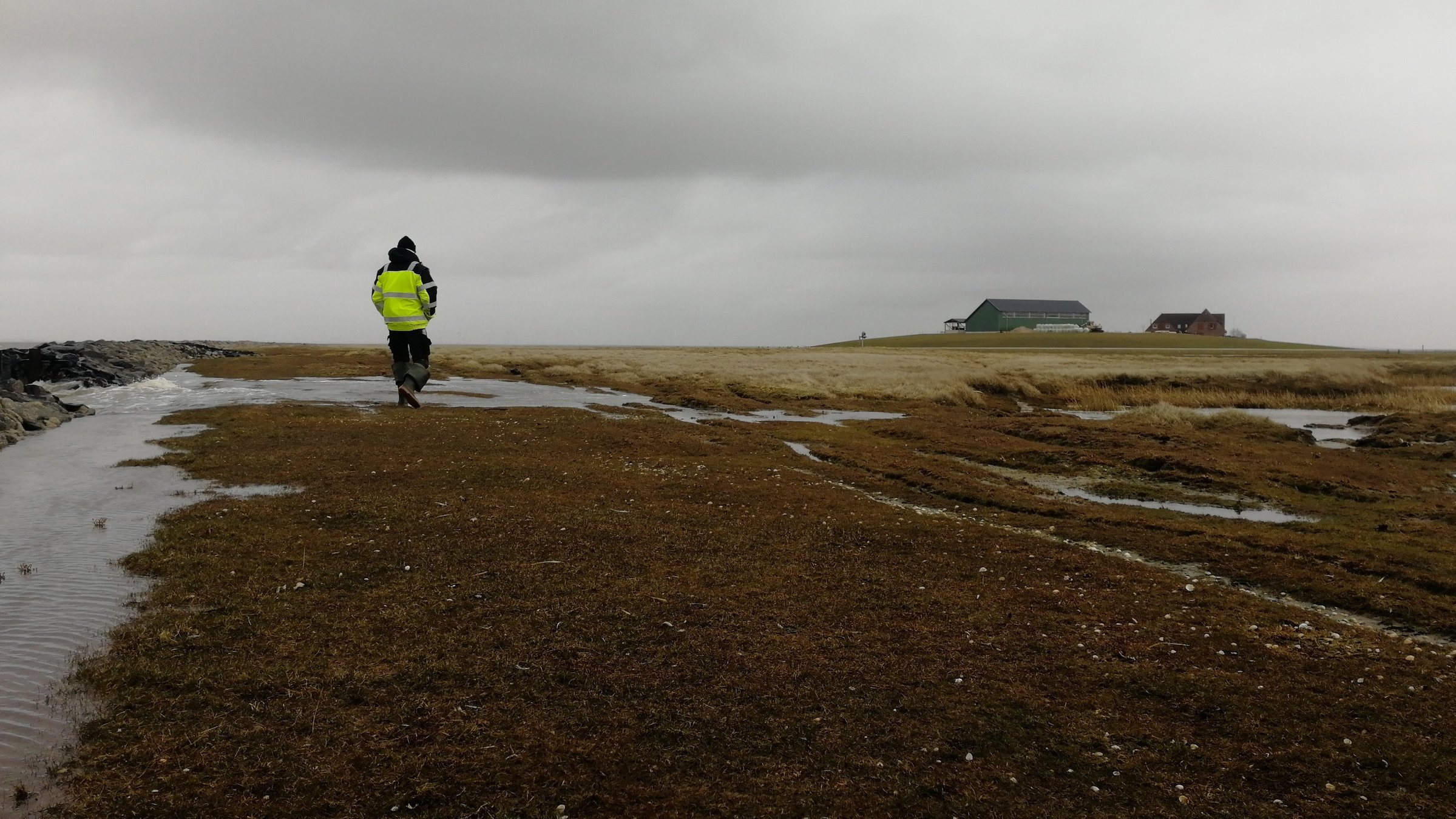 "plan b: Kampf gegen die Flut - Küstenschutz gegen Klimawandel": Eine Hallig nach der Flut.