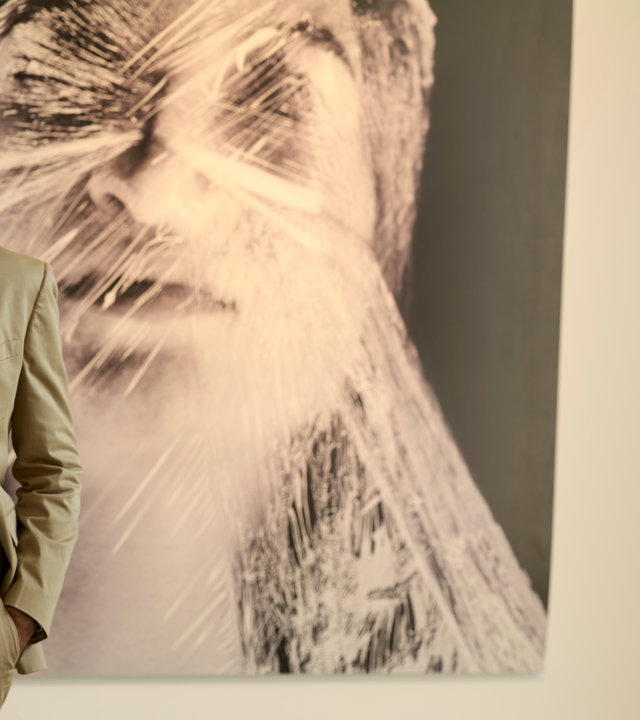 "SOKO Wien - Geliebter Mörder": Bezirksinspektor Klaus Lechner (Andreas Kiendl) steht zusammen mit Galerist Uwe Springer (Michael Rotschopf) vor einem Bild. Auf dem Bild ist der Kopf einer Frau zu sehen, der in Frischhaltefolie eingewickelt ist.