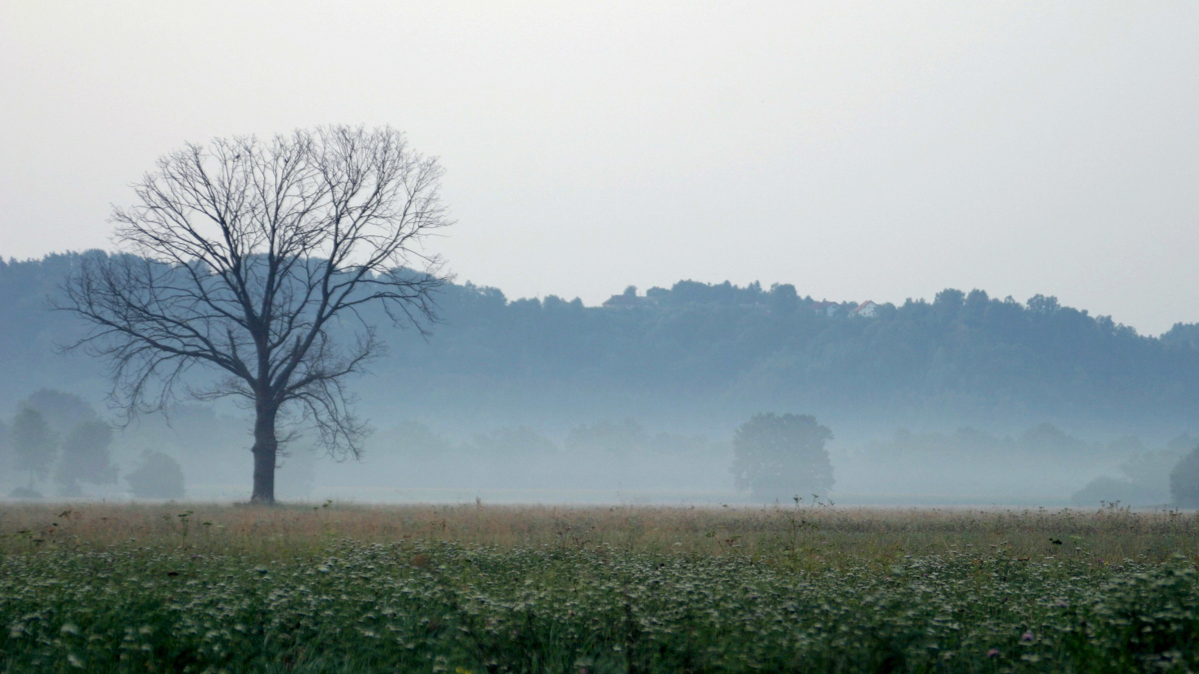 "Das Lafnitztal" - Morgenstimmung mit Nebel.