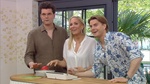 ZDF-Fernsehgarten – Das Quiz