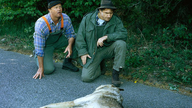 Forsthaus Falkenau - Lupus Heißt Der Wolf