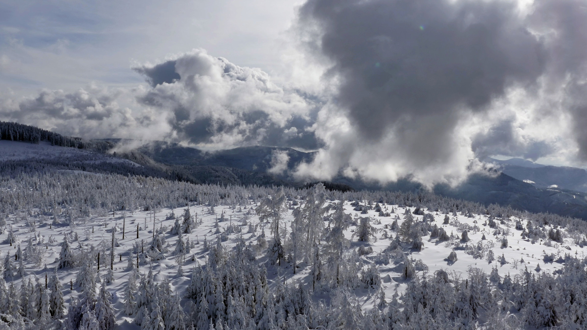 "Ein Winter im Schwarzwald": Der Schwarzwald im Winter.