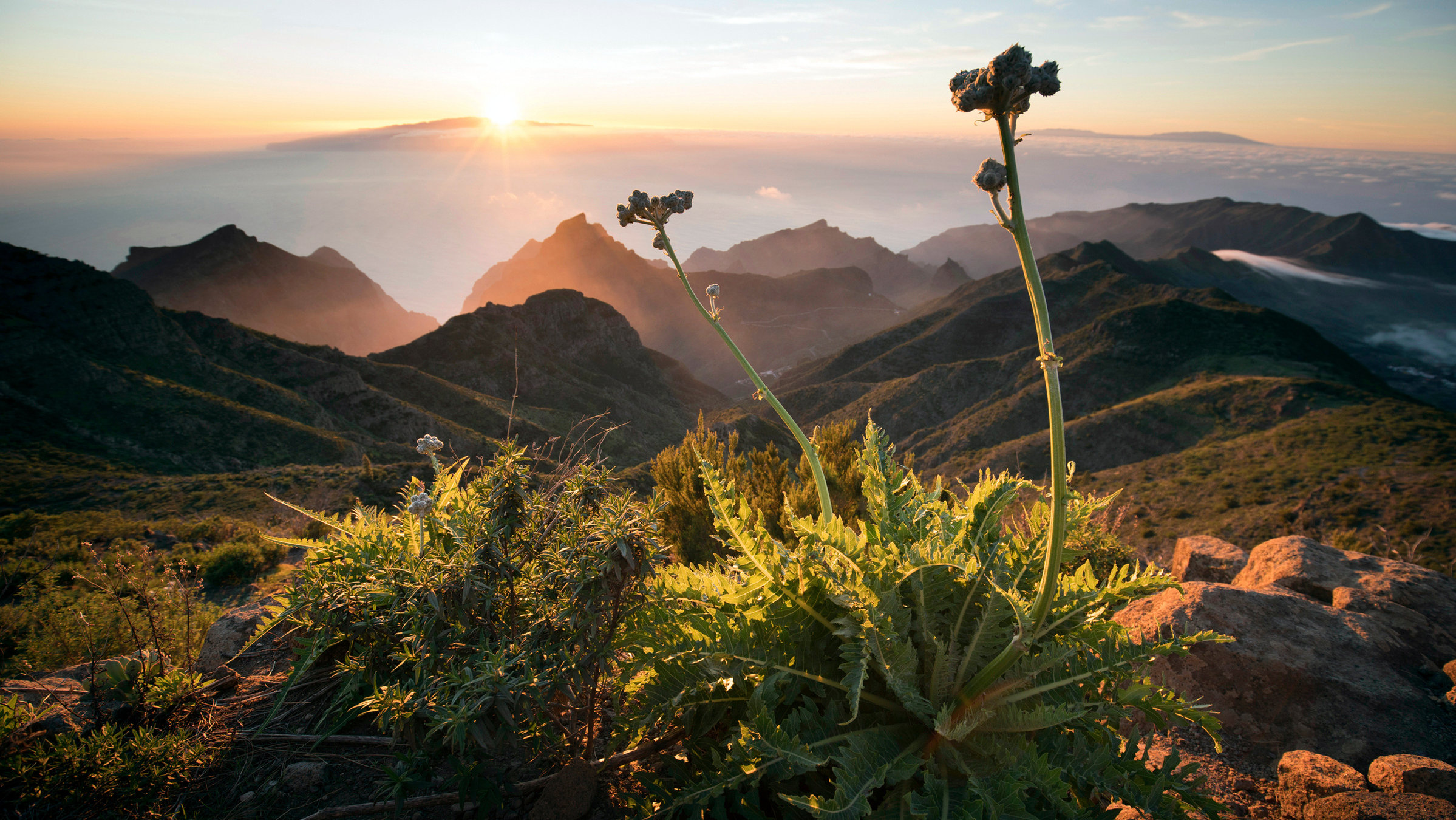 "Die Kanarischen Inseln - Nebelwald und Wüsten": Teneriffa ist mit 2.000 Quadratkilometern die größte der Kanarischen Inseln.