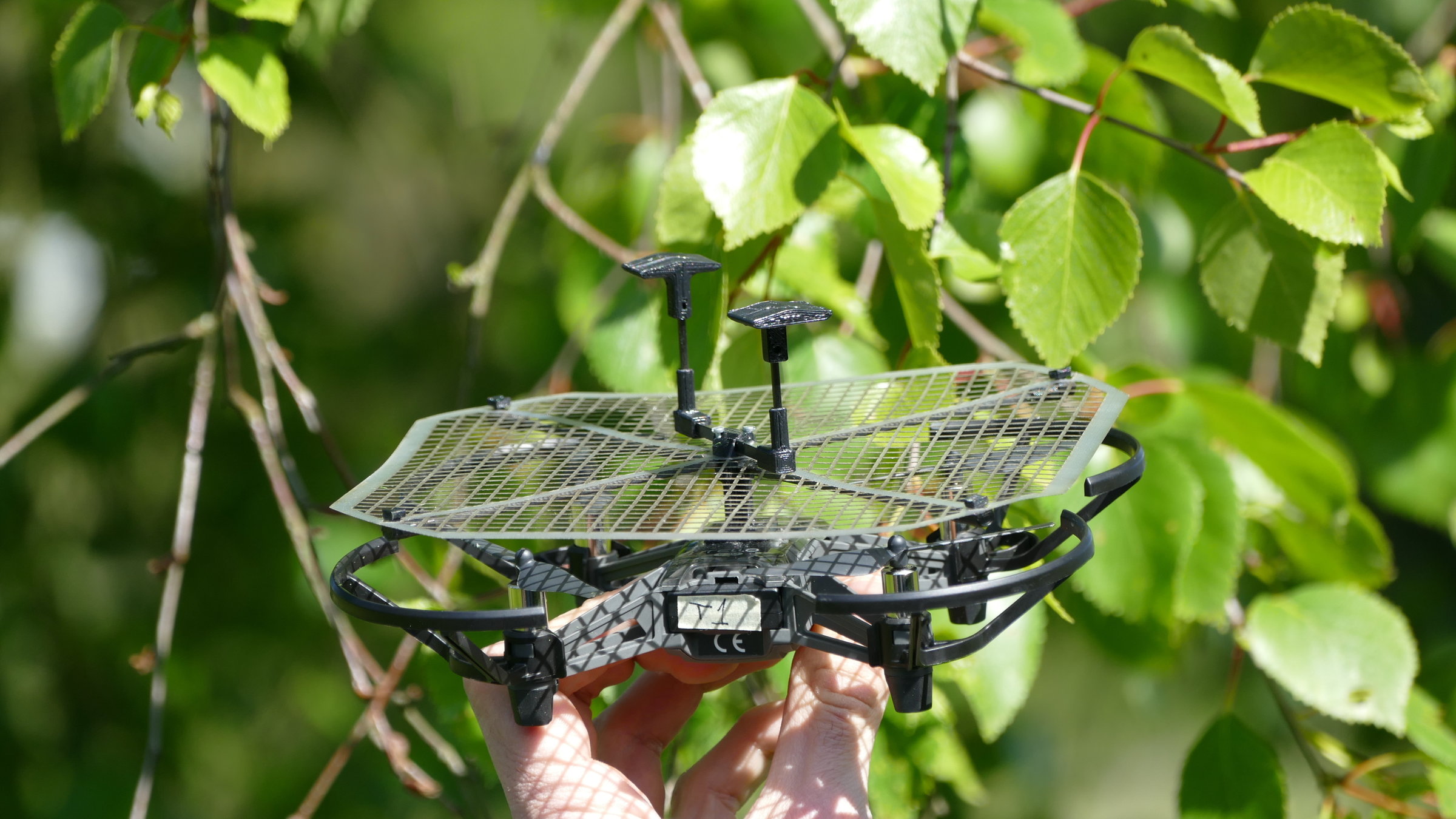 "planet e.: Roboter als Retter? Umweltschutz mit Maschinen": Eine Drohne in Nahaufnahme vor Blättern.