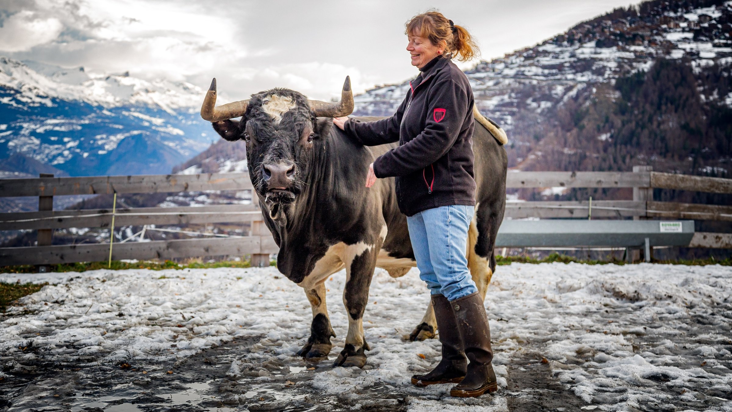 "SCHWEIZWEIT: Doktor Julie und die Kühe": Eine Frau steht neben einer Kuh vor Bergpanorama.