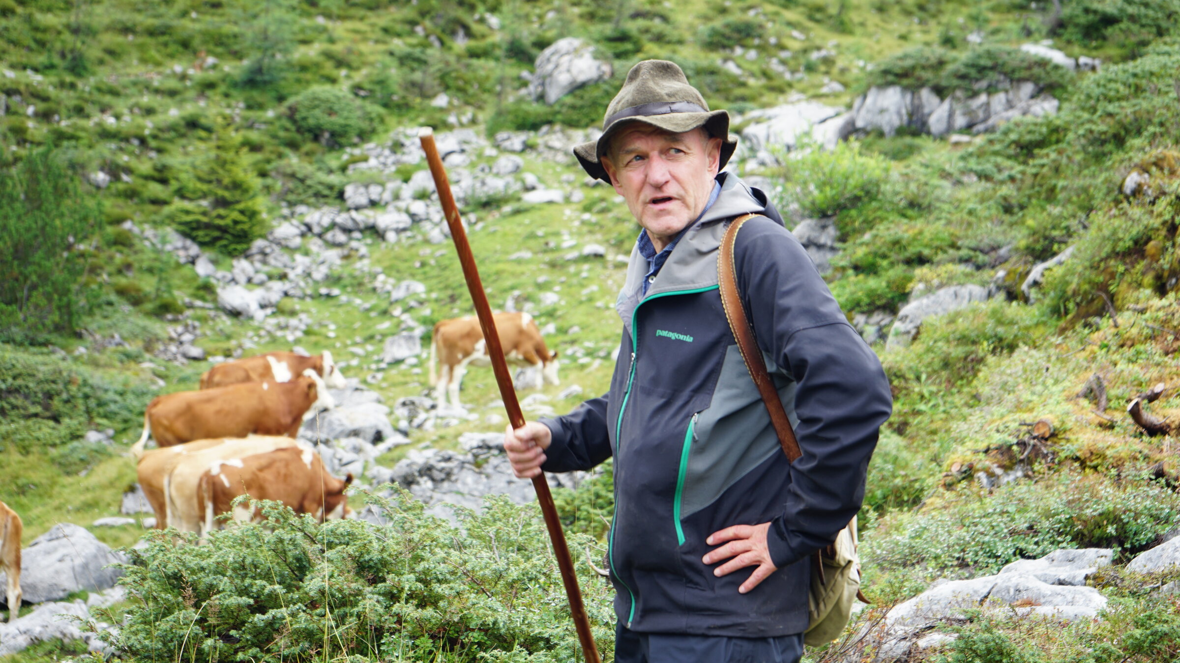 "Hirtenleben - Suachn und Losen im Dachsteingebirge": Hirte Peter Gruber bei der täglichen Suche nach dem Vieh. Seinem geschulten Auge entgeht nichts.