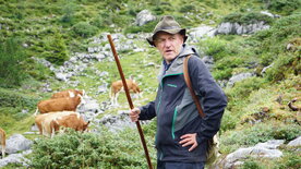 Hirtenleben - Suachn und Losen im Dachsteingebirge