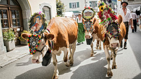 Bauernherbst im Salzburger Land