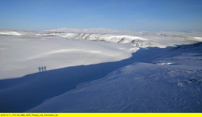 Polarwölfe - Überleben in Kanadas Arktis