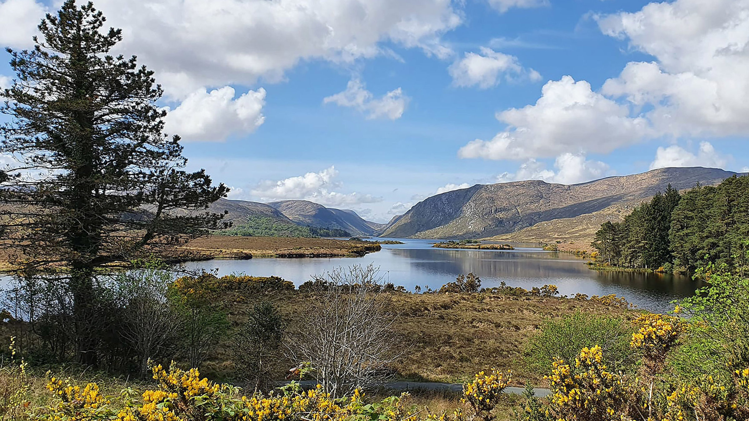 Den hohen Bergen an der Nordirischen Grenze entspringend, bildet der FlussShannon Irlands zentrale Lebensader zwischen Ost und West.