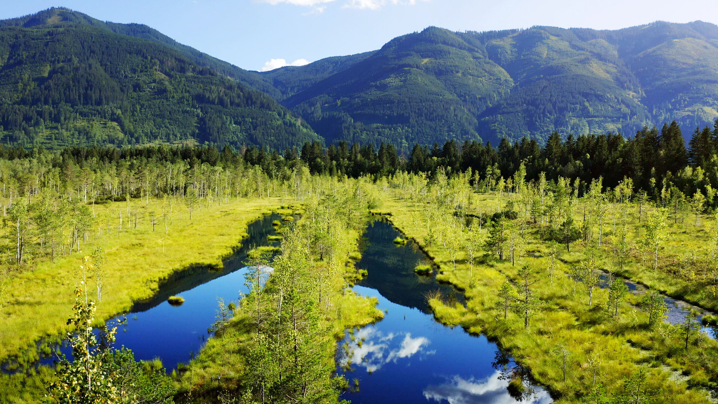 "Geheimnisvolle Moorlandschaften": Pichlmaier Moor: Ehemaliges Torfabbaugebiet in Hall bei Admont. Heute geschützte Moorlandschaft.