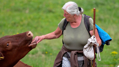 Sommer auf der Augstwiesalm