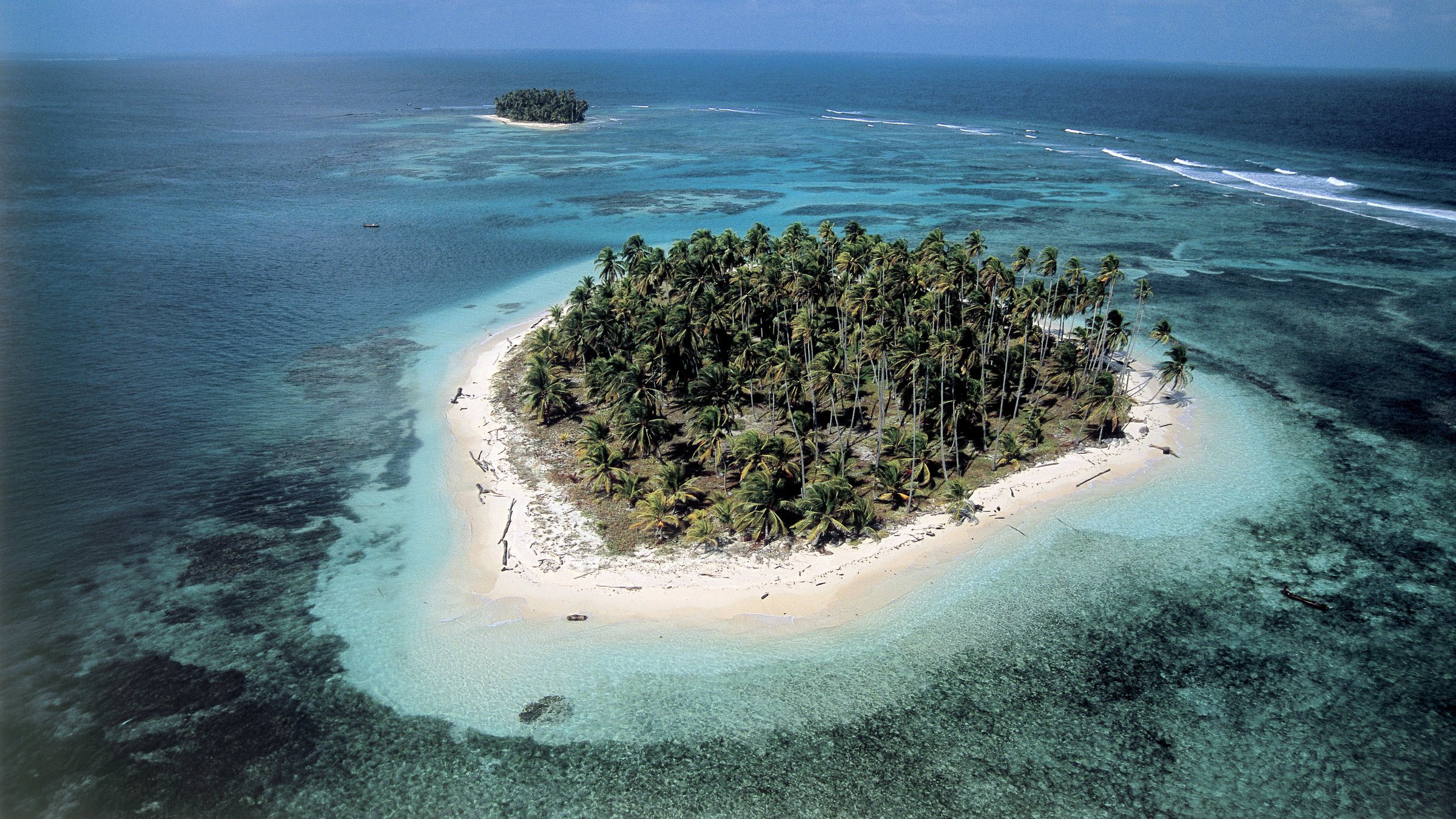 "Wunder der Karibik - Die Schatzküsten":  An den Ufern erstrecken sich üppige Dschungelwälder mit einer überreichen Tier- und Pflanzenwelt: Gut 600 verschiedene Vogelarten und rund 150 Säugetierarten leben hier.